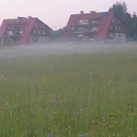 Apartament Wrzos Bieszczady Czarna  Dış mekan fotoğraf