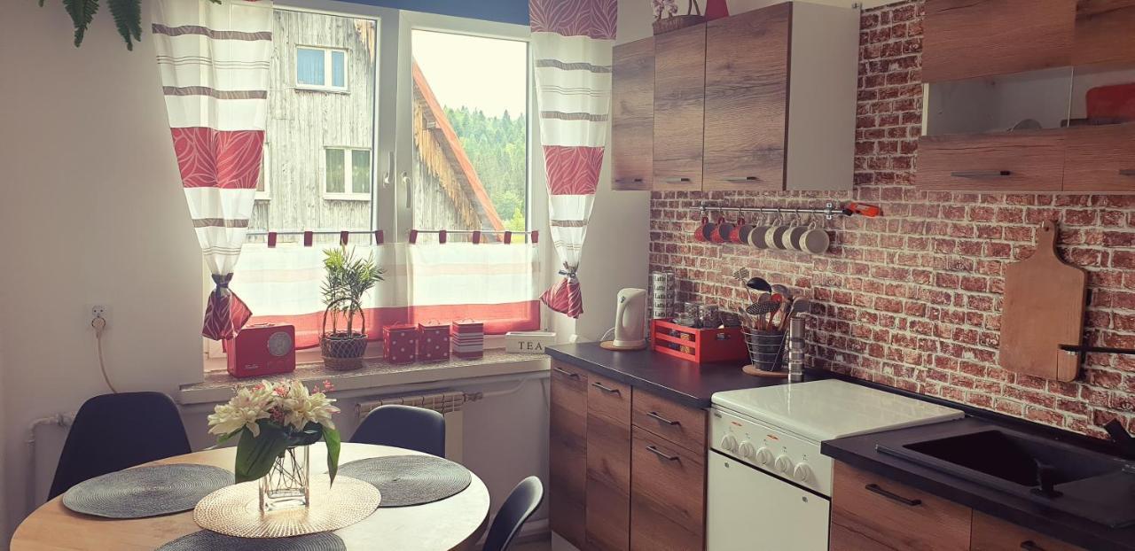 Apartament Wrzos Bieszczady Czarna  Dış mekan fotoğraf
