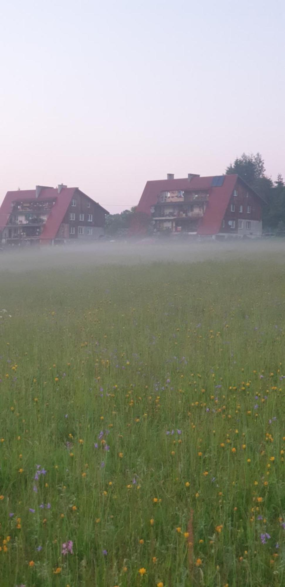 Apartament Wrzos Bieszczady Czarna  Dış mekan fotoğraf